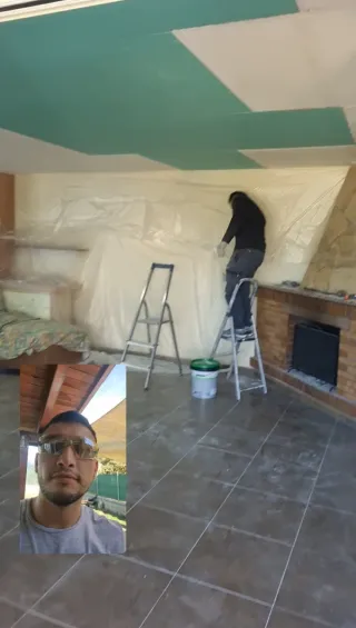 Manitas Profesional, Carpintero, Pintor, Pladur