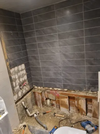 Manitas Profesional, Carpintero, Pintor, Pladur