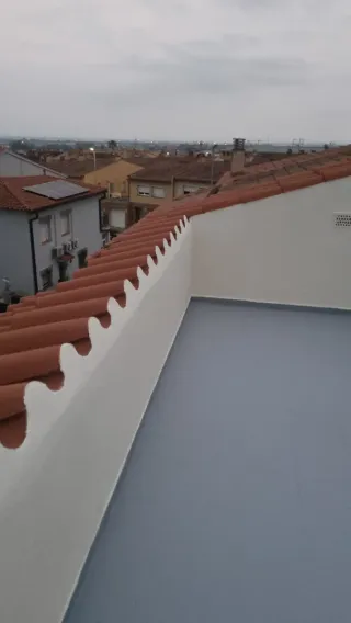 Manitas Profesional, Carpintero, Pintor, Pladur