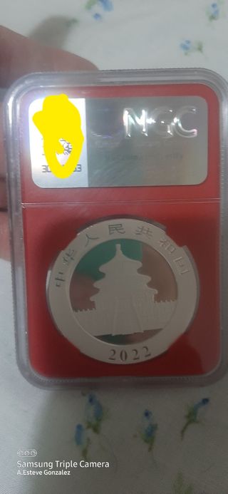 Panda China 2022 MS70 NGC