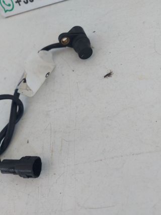 Sensore Giri Motore Triumph Speed Triple 1050