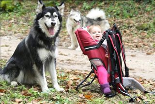 Guarderia residència canina 