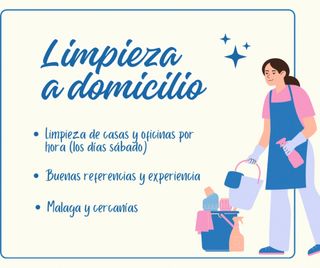 Se realizan limpiezas a domicilio