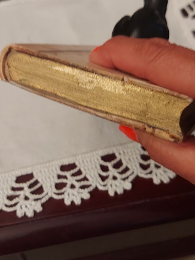 Pisa-Papéis Vintage - Cão em Livro Antigo