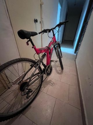 Bicicletta MTB Gold Bike Crown