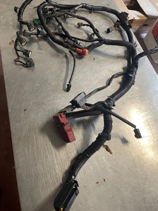 Cablaggio motore micra 1.2 benz 24011BC001