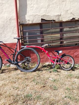 WeeRide CoPilot: Remolque Bicicleta