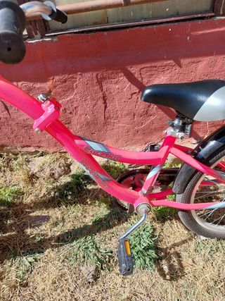 WeeRide CoPilot: Remolque Bicicleta