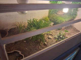 Terrarios para reptiles - 2 uds