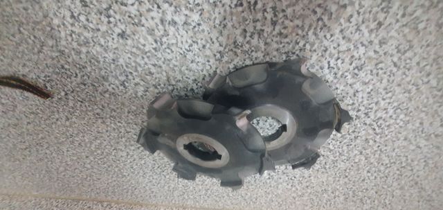 Fresas Tupi - 2 uds.