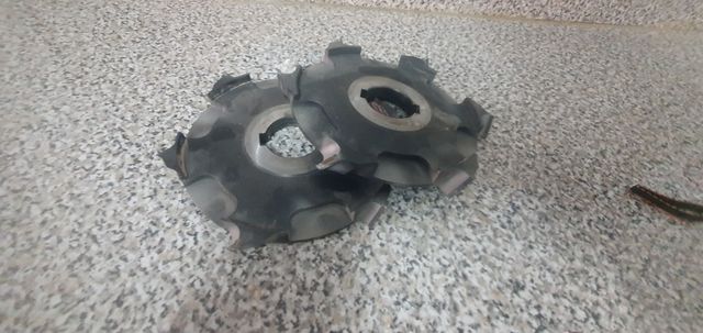 Fresas Tupi - 2 uds.