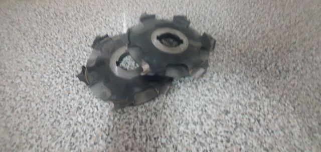 Fresas Tupi - 2 uds.