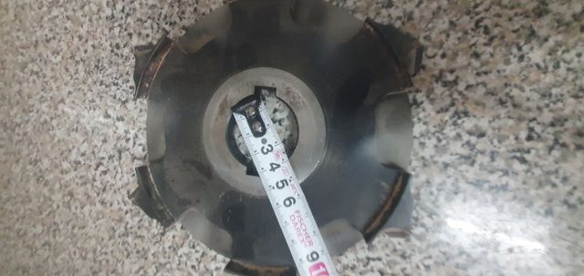 Fresas Tupi - 2 uds.