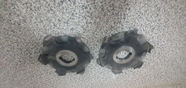 Fresas Tupi - 2 uds.