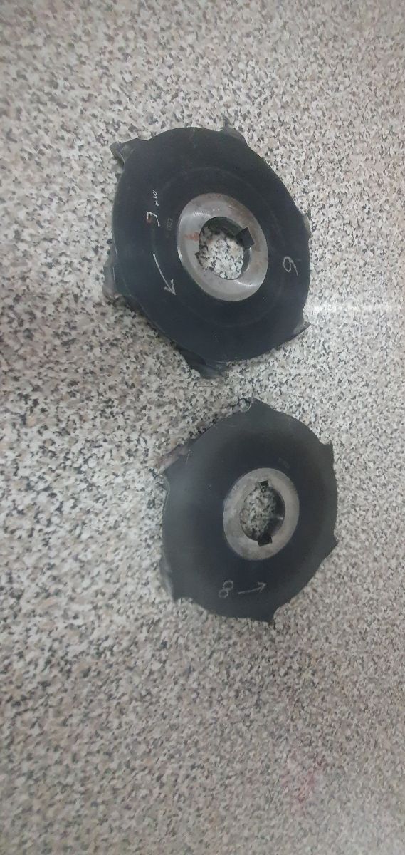 Fresas Tupi - 2 uds.