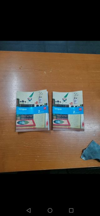 Lengua Primaria 2º - 2 Trimestres