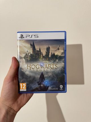 Hogwarts Legacy PS5 (PlayStation 5)