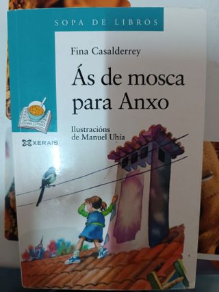 Ás de mosca para Anxo (Infantil E Xuvenil) (Gal...
