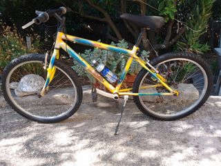 Bici da ragazzo 24'' usata