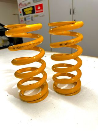 Muelles Öhlins 49010-31/100 L622