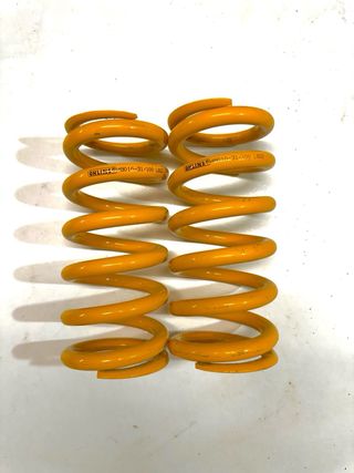 Muelles Öhlins 49010-31/100 L622