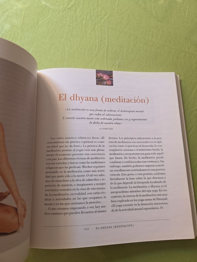 Vivir el Yoga. Christy Turlington.