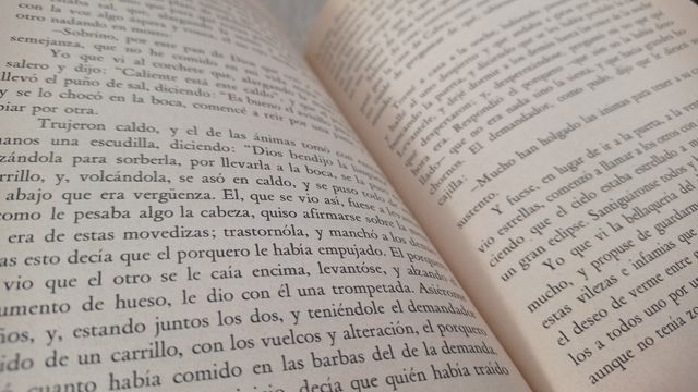 La Vida del Buscón Llamado Don Pablos