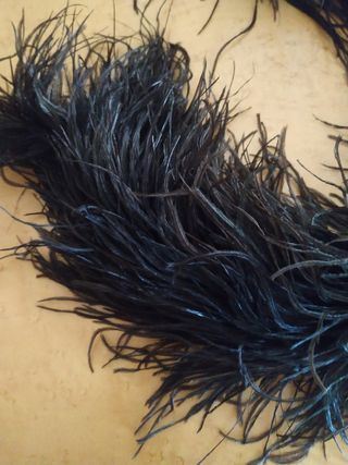 Boa plumas avestruz negra

