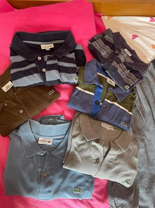 Lote 6 polos Lacoste – Tallas grandes- Manga corta