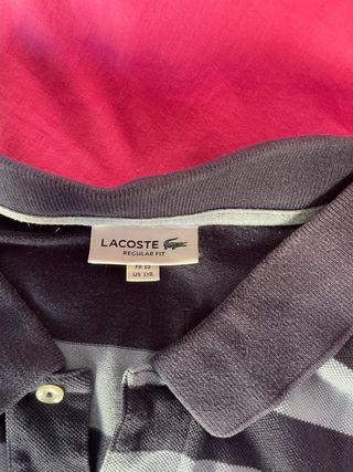 Lote 6 polos Lacoste – Tallas grandes- Manga corta
