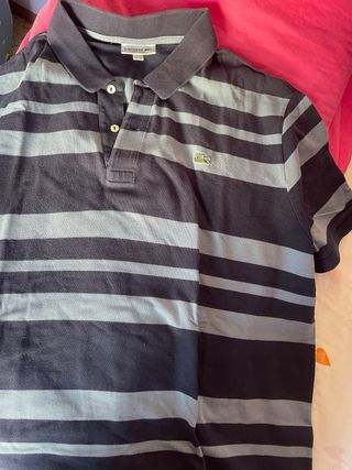 Lote 6 polos Lacoste – Tallas grandes- Manga corta