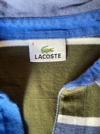 Lote 6 polos Lacoste – Tallas grandes- Manga corta