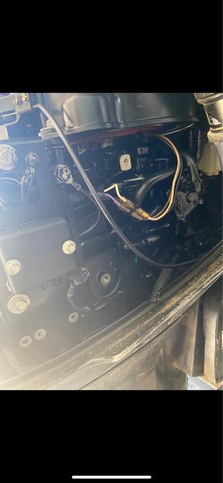 Motor fueraborda mariner