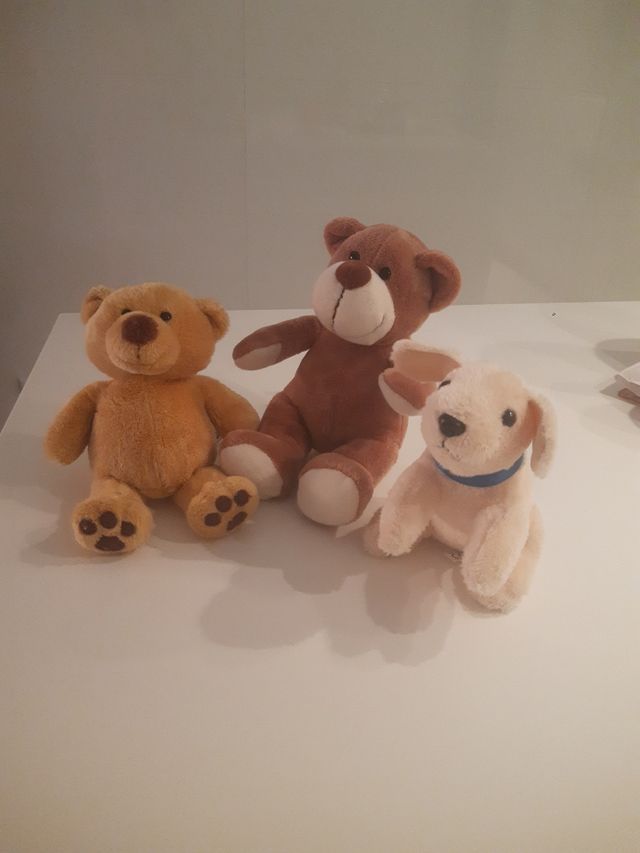 3 Peluches: Oso, Oso, Perrito