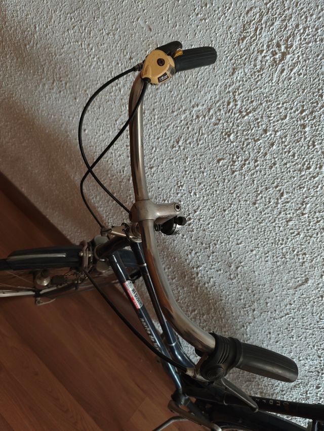 Bicicleta clásica Cuadro de Luxe