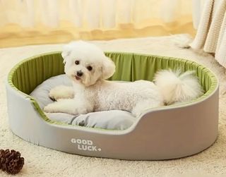 Cama para perro - Gris y Verde