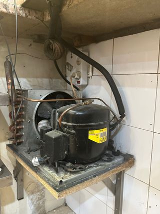 Vitrina expositora hostelería