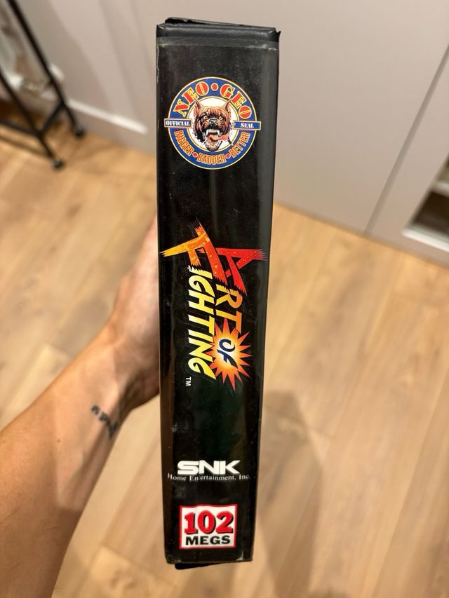 Neo Geo Art of Fighting