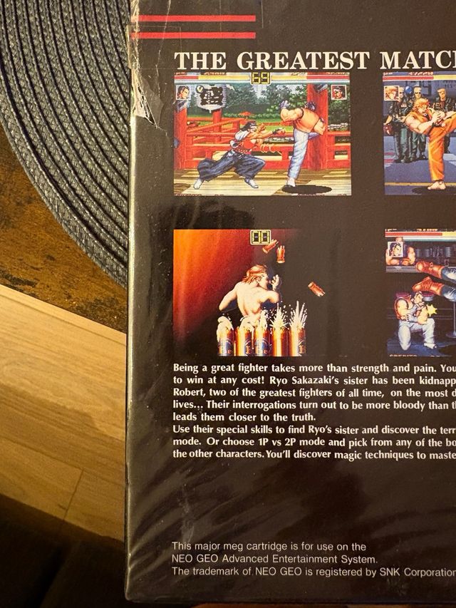 Neo Geo Art of Fighting