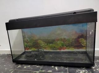 Acuario 100L - perfecto estado