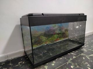 Acuario 100L - perfecto estado