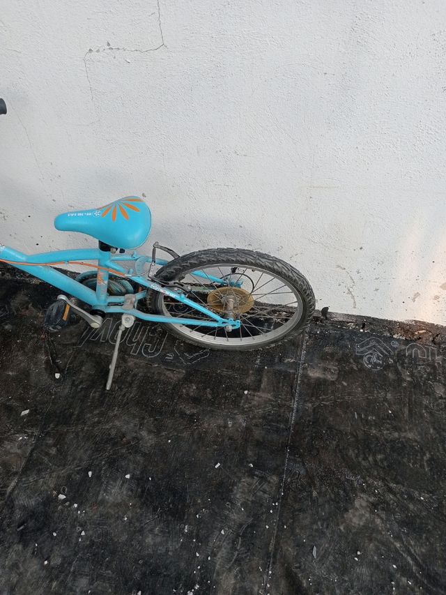 Bicicletta da ragazza blu 20"