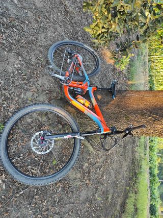 Bicicleta Giant Reign MTB