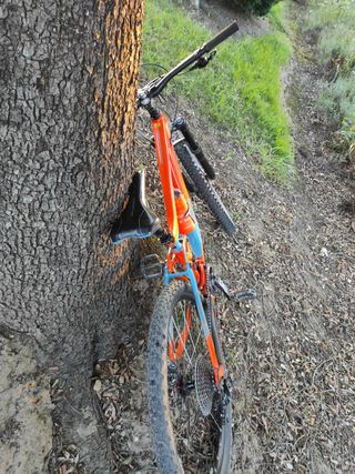 Bicicleta Giant Reign MTB