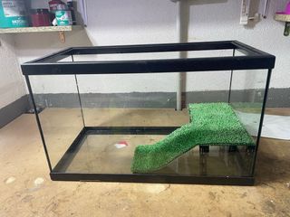 Terrario-Acuario 