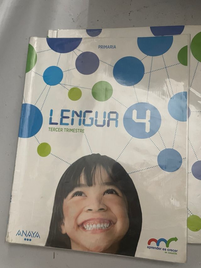 Lengua 4
