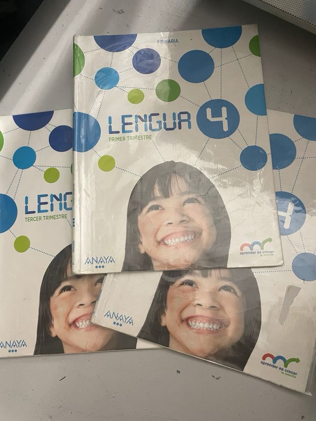 Lengua 4