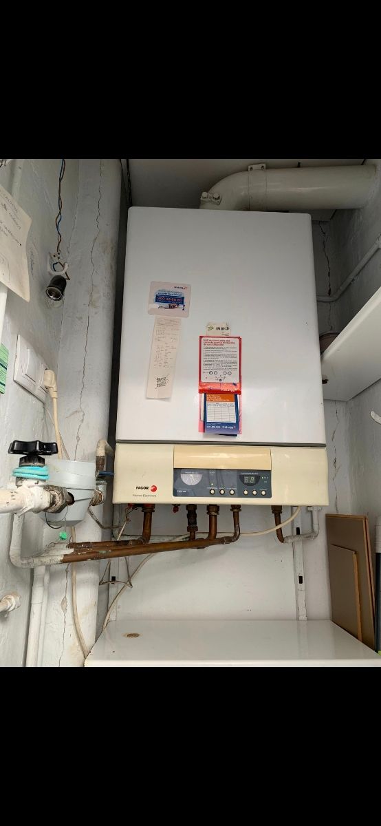 Caldera gas Fagor FEE-20 - Despiece