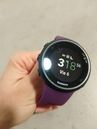 Reloj Garmin Forerunner 45