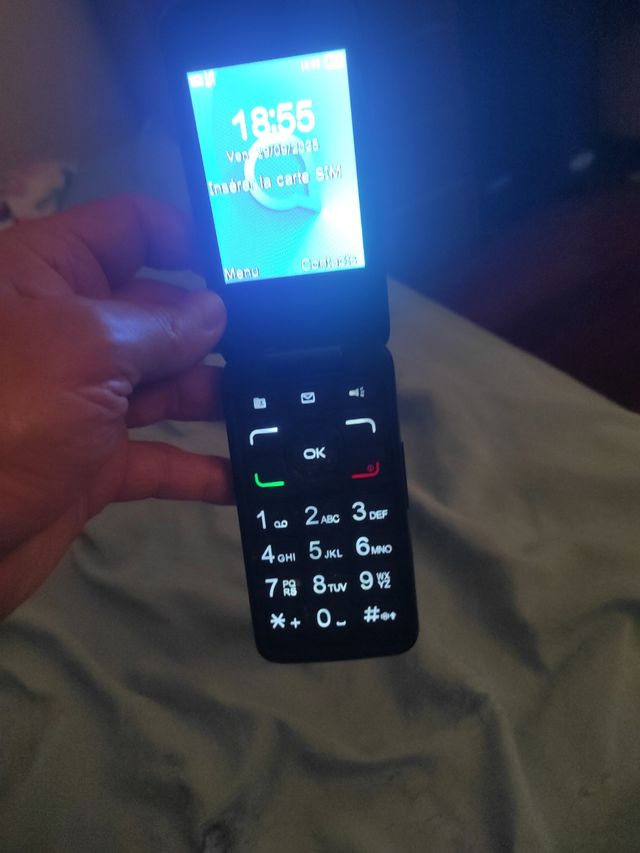 Alcatel teléfono móvil plegable plateado